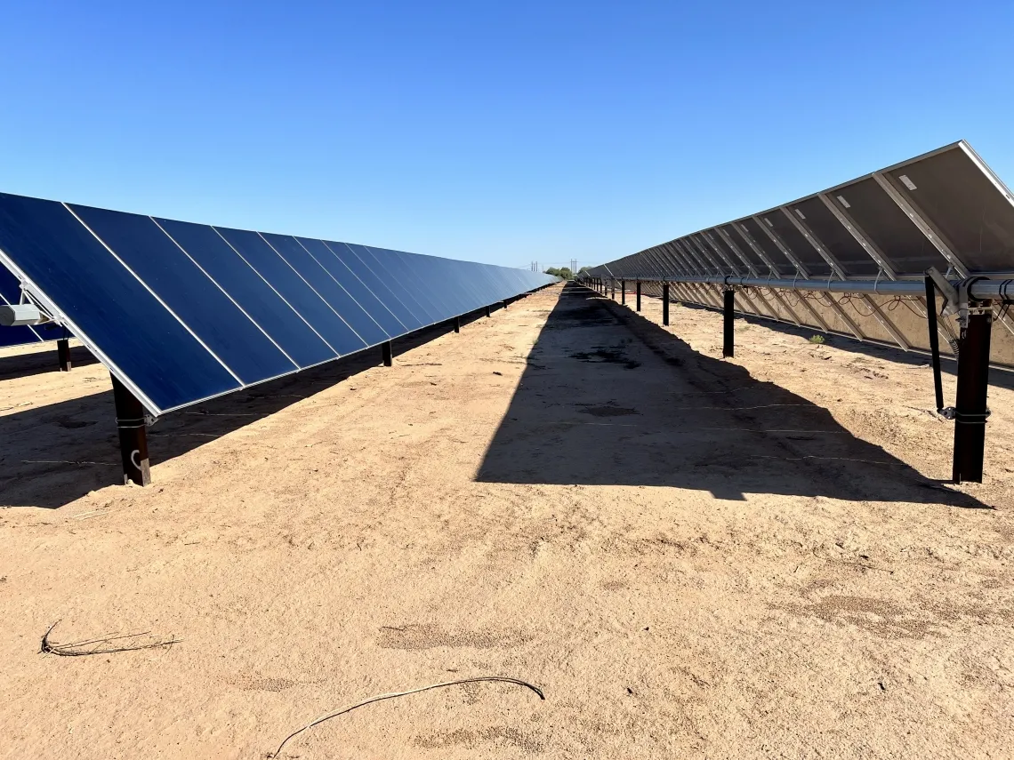 Image of solar panels in field